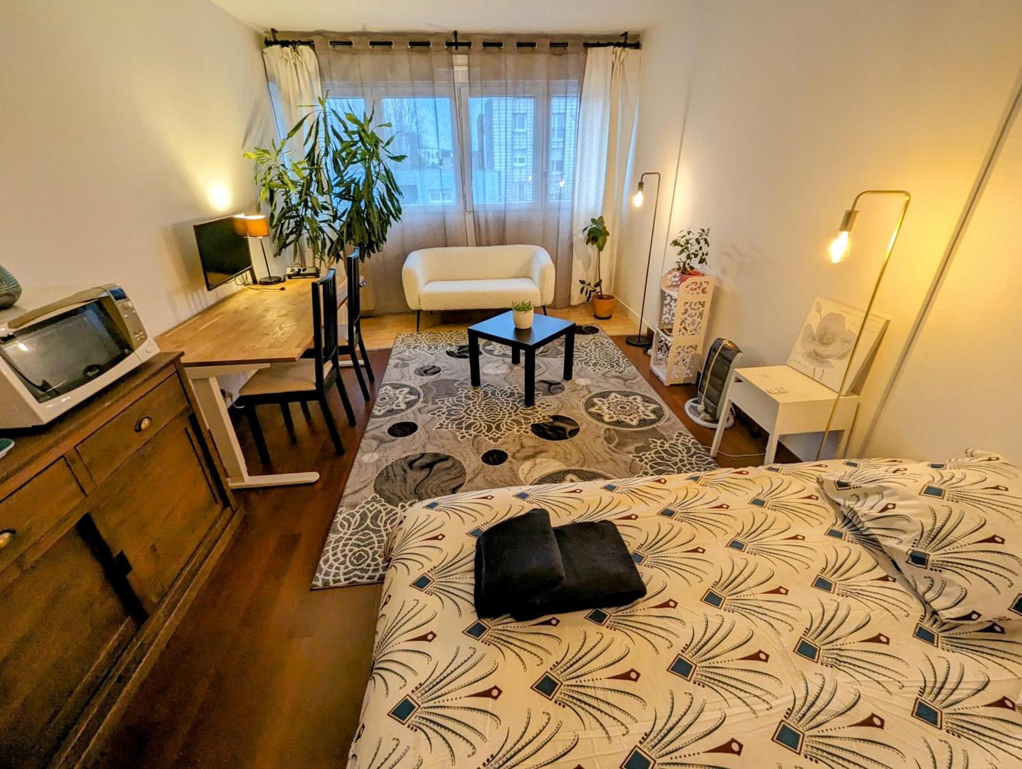 Apartamento Chez Les P'Tits Loups Estrasburgo Exterior foto