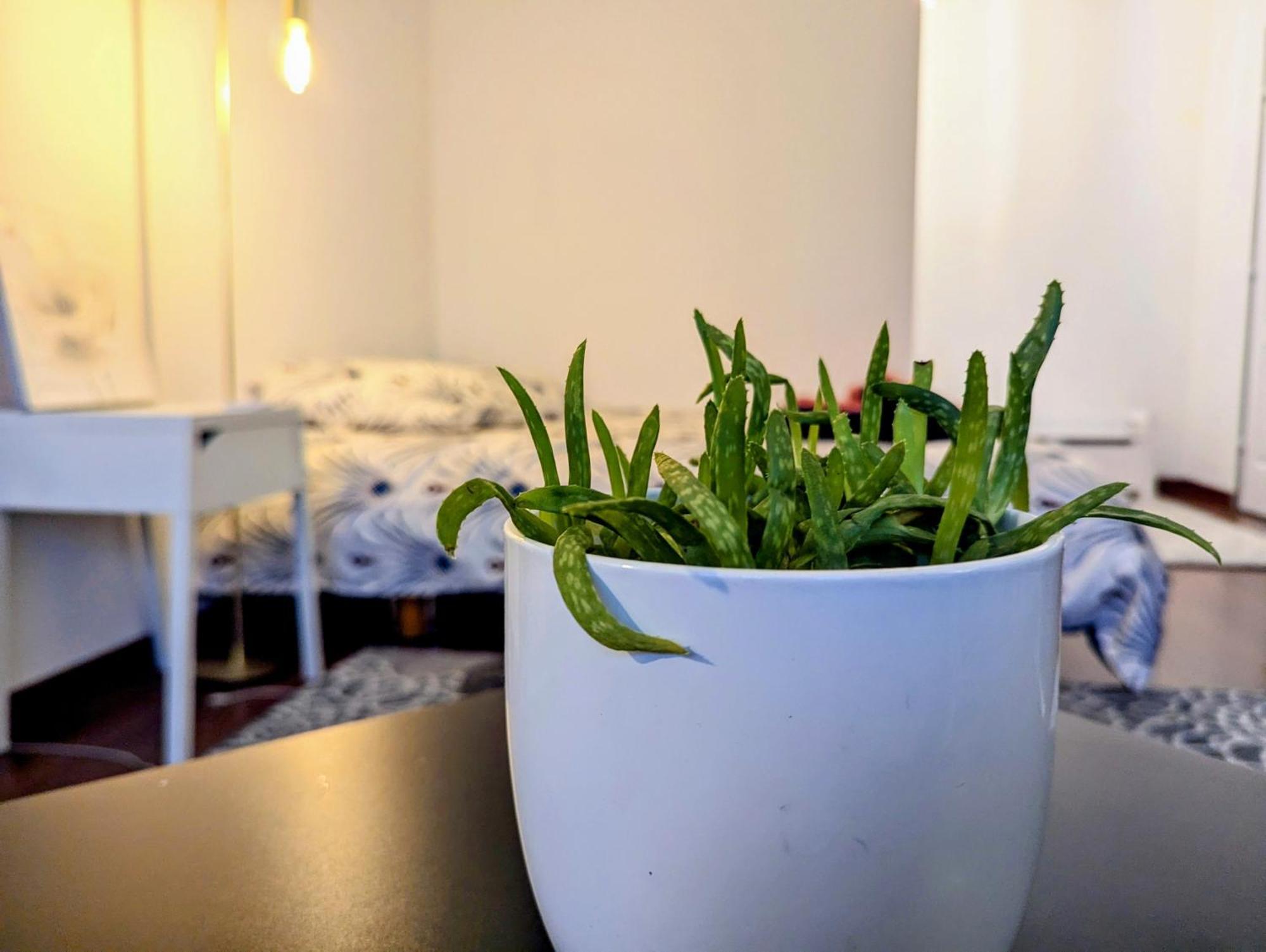 Apartamento Chez Les P'Tits Loups Estrasburgo Exterior foto