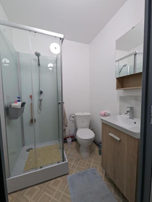 Apartamento Chez Les P'Tits Loups Estrasburgo Exterior foto